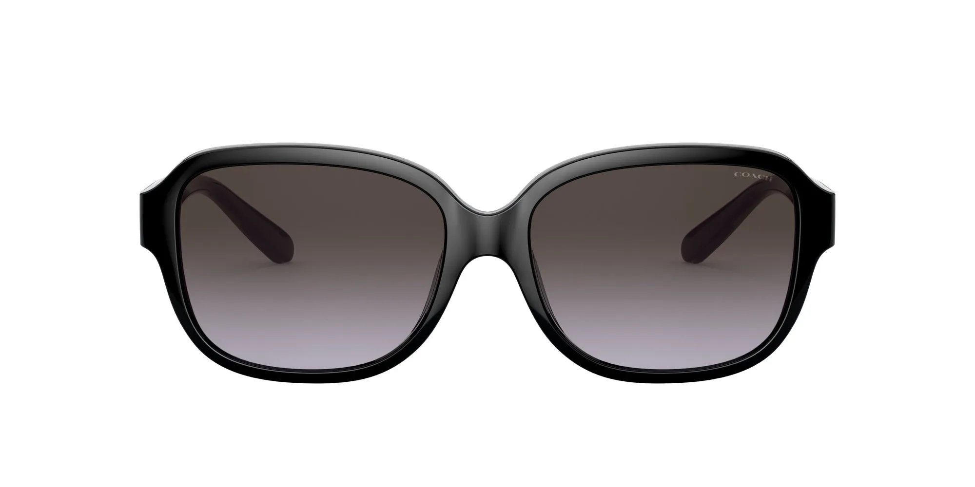 Coach HC8298U L1153 Sunglasses
