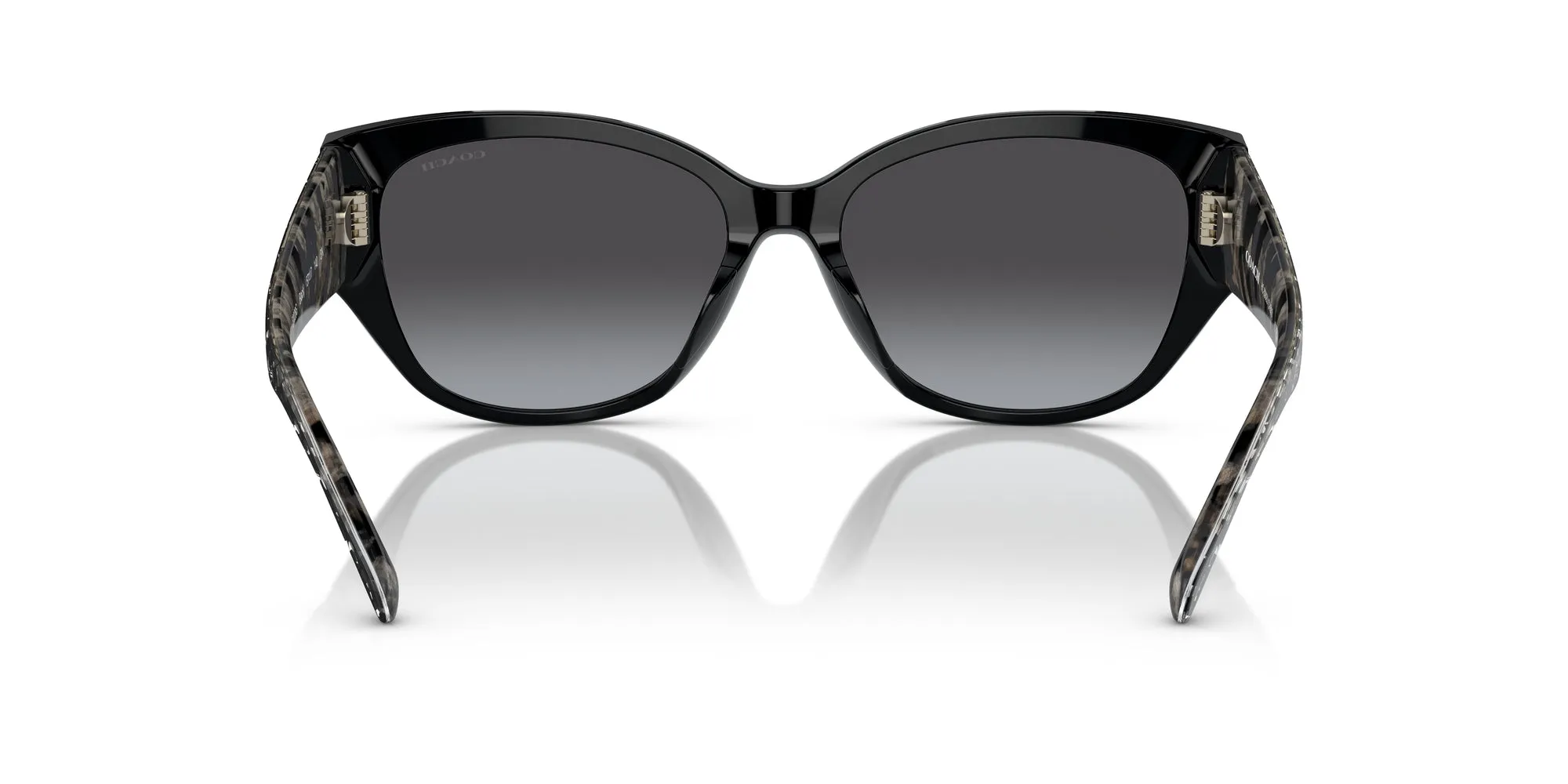 Coach HC8362U CH563 Sunglasses