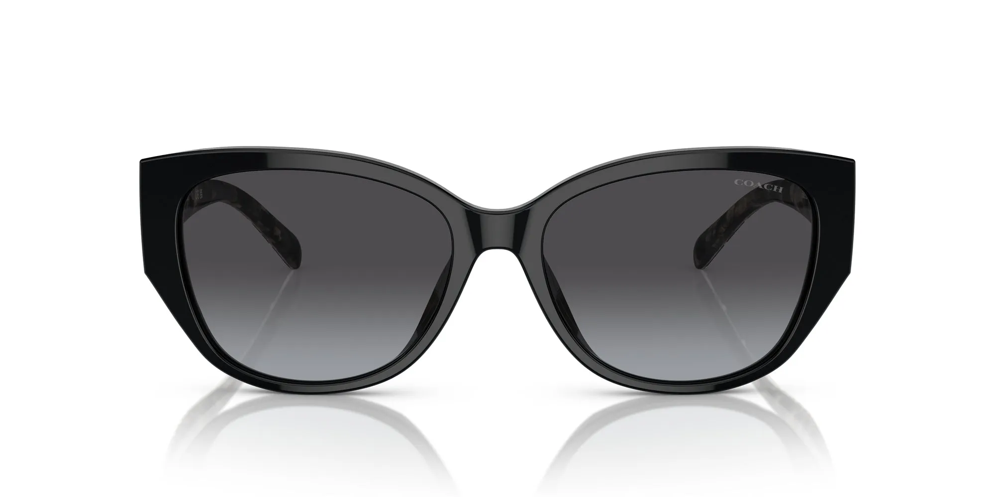 Coach HC8362U CH563 Sunglasses