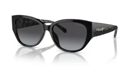 Coach HC8362U CH563 Sunglasses
