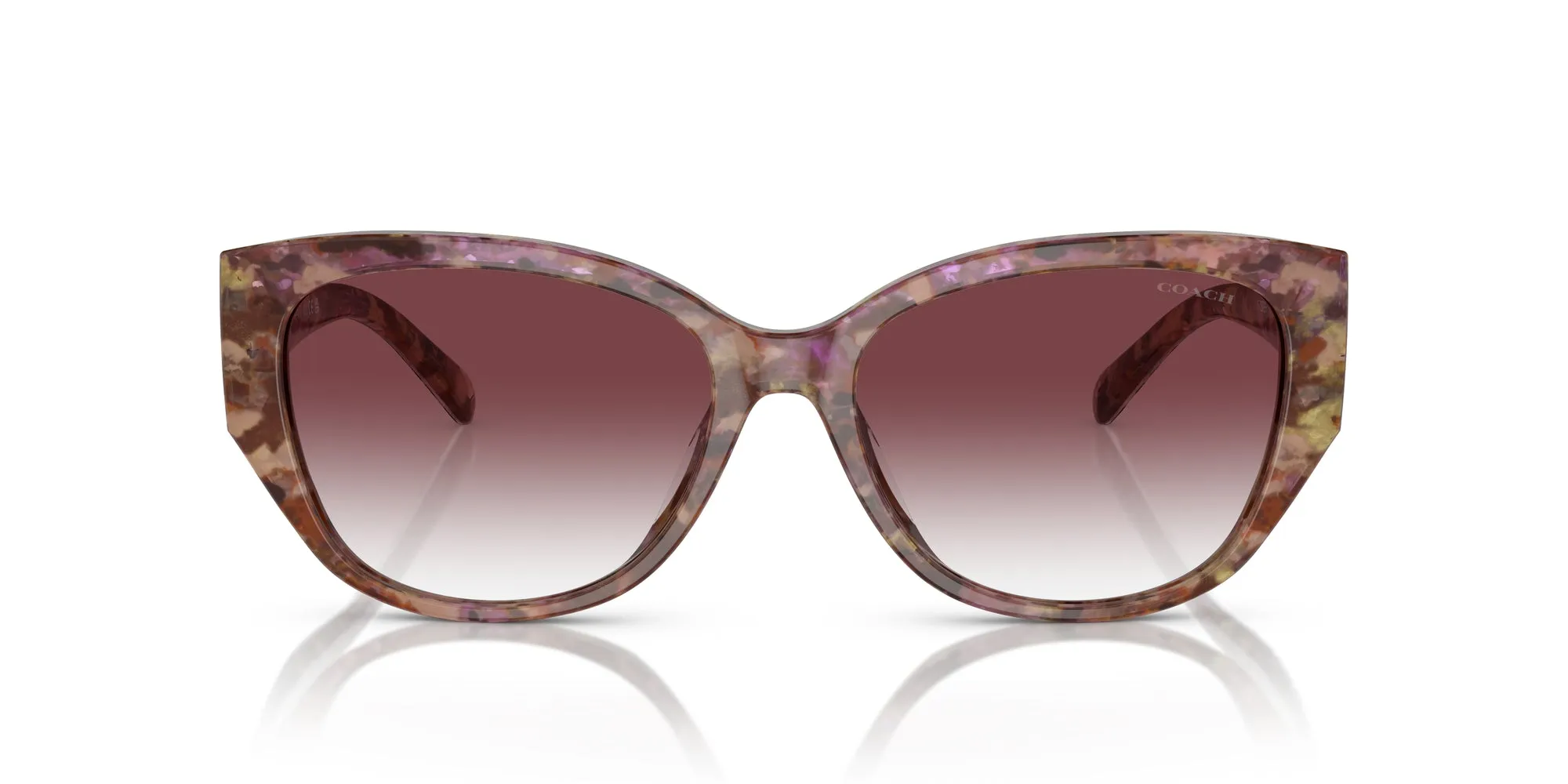 Coach HC8362U CH563 Sunglasses